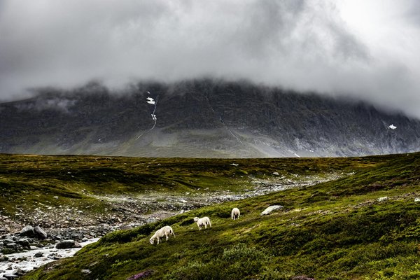 Voyage sur mesure : créez des souvenirs inoubliables