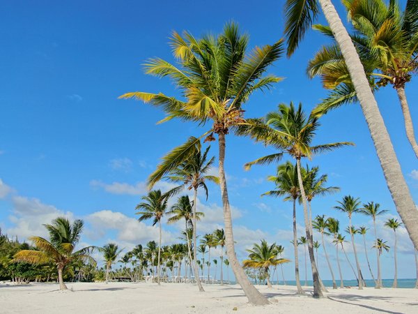 Guide de survie pour une première croisière d'expédition